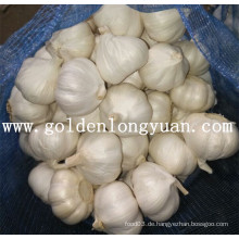 Pure White Knoblauch aus Jinxiang Bereich